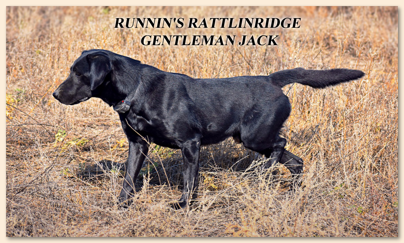Runnin's Jack