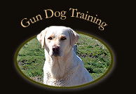 Gun Dog Training